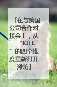 在与跨国公司合作对接会上，从“KITE”的四个维度重新打开潍坊