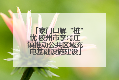 家门口解“桩”忧 胶州市李哥庄镇推动公共区域充电基础设施建设