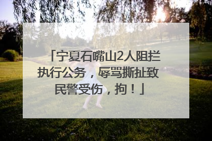 宁夏石嘴山2人阻拦执行公务，辱骂撕扯致民警受伤，拘！