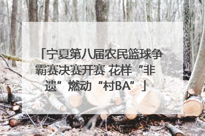 宁夏第八届农民篮球争霸赛决赛开赛 花样“非遗”燃动“村BA”