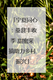 宁夏同心：桑葚丰收季 甜蜜采摘助力乡村振兴