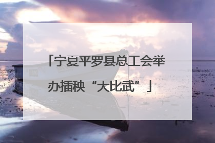宁夏平罗县总工会举办插秧“大比武”