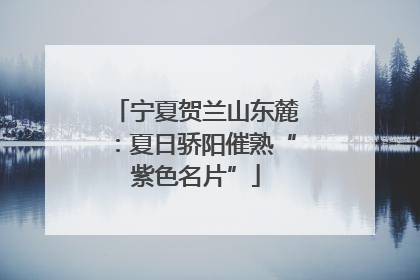 宁夏贺兰山东麓：夏日骄阳催熟“紫色名片”