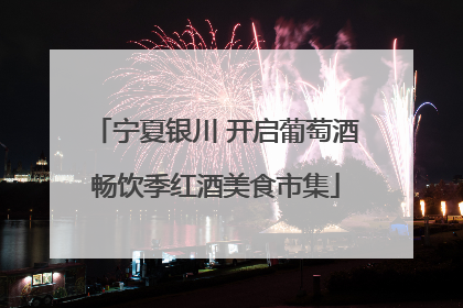 宁夏银川 开启葡萄酒畅饮季红酒美食市集