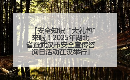 安全知识“大礼包”来啦！2025年湖北省暨武汉市安全宣传咨询日活动在汉举行