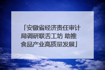 安徽省经济责任审计局调研联舌工坊 助推食品产业高质量发展