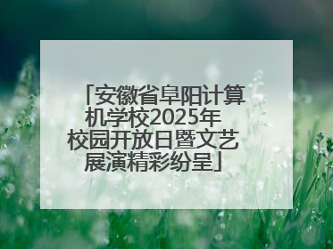 安徽省阜阳计算机学校2025年校园开放日暨文艺展演精彩纷呈