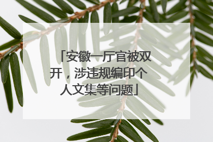安徽一厅官被双开，涉违规编印个人文集等问题