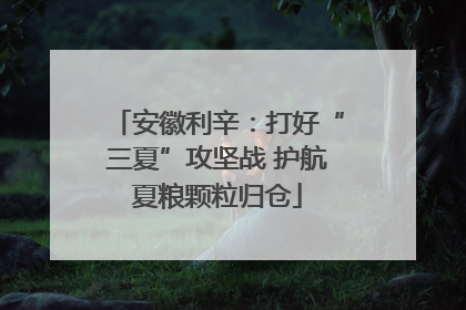 安徽利辛：打好“三夏”攻坚战 护航夏粮颗粒归仓