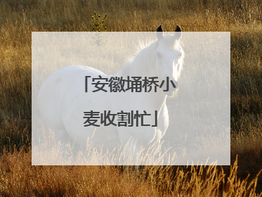 安徽埇桥小麦收割忙