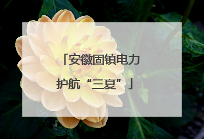 安徽固镇电力护航“三夏”