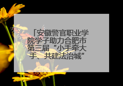 安徽警官职业学院学子助力合肥市第三届“小手牵大手、共建法治城”公益普法活动