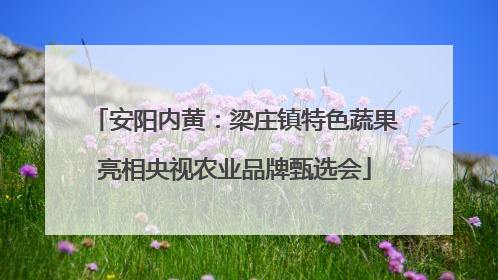 安阳内黄：梁庄镇特色蔬果亮相央视农业品牌甄选会