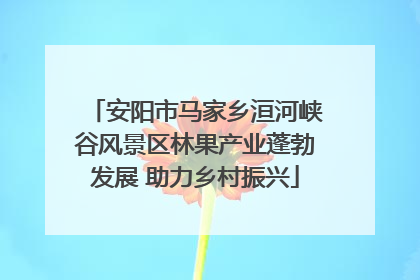 安阳市马家乡洹河峡谷风景区林果产业蓬勃发展 助力乡村振兴