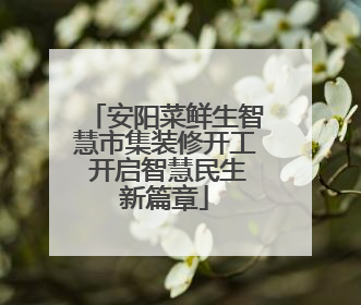 安阳菜鲜生智慧市集装修开工 开启智慧民生新篇章