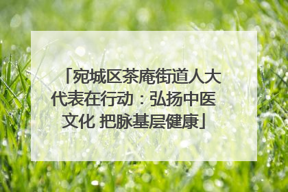 宛城区茶庵街道人大代表在行动：弘扬中医文化 把脉基层健康