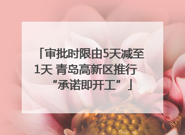 审批时限由5天减至1天 青岛高新区推行“承诺即开工”