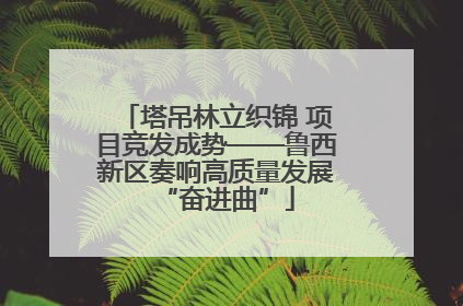 塔吊林立织锦 项目竞发成势——鲁西新区奏响高质量发展“奋进曲”