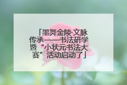 墨舞金陵·文脉传承——书法研学暨“小状元书法大赛”活动启动了