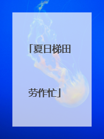 夏日梯田劳作忙