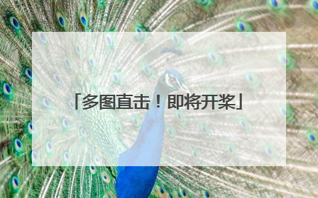 多图直击！即将开桨