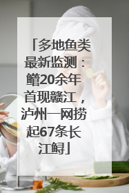 多地鱼类最新监测：鳤20余年首现赣江，泸州一网捞起67条长江鲟