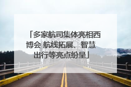 多家航司集体亮相西博会 航线拓展、智慧出行等亮点纷呈