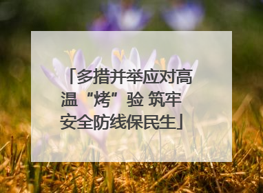 多措并举应对高温“烤”验 筑牢安全防线保民生