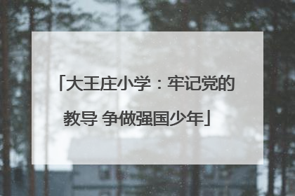 大王庄小学：牢记党的教导 争做强国少年