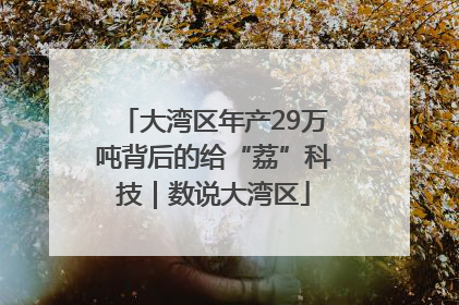 大湾区年产29万吨背后的给“荔”科技｜数说大湾区