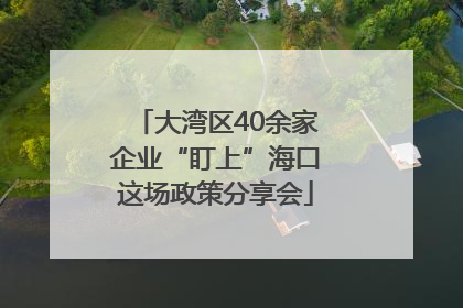 大湾区40余家企业“盯上”海口这场政策分享会