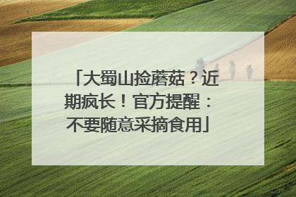 大蜀山捡蘑菇？近期疯长！官方提醒：不要随意采摘食用