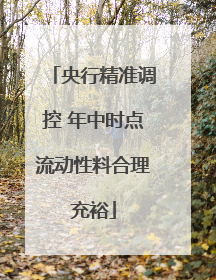 央行精准调控 年中时点流动性料合理充裕