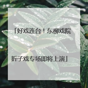 好戏连台！东柳戏院折子戏专场即将上演