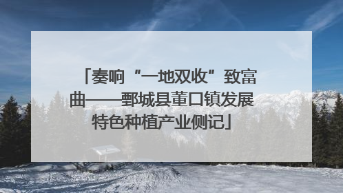 奏响“一地双收”致富曲——鄄城县董口镇发展特色种植产业侧记