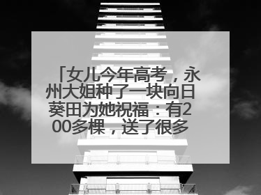 女儿今年高考，永州大姐种了一块向日葵田为她祝福：有200多棵，送了很多给其他家长
