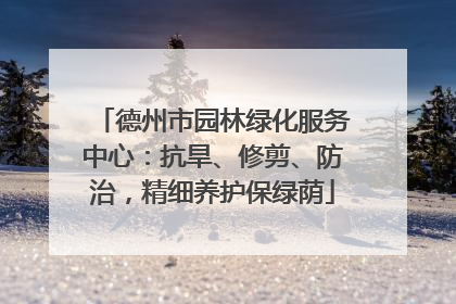 德州市园林绿化服务中心：抗旱、修剪、防治，精细养护保绿荫