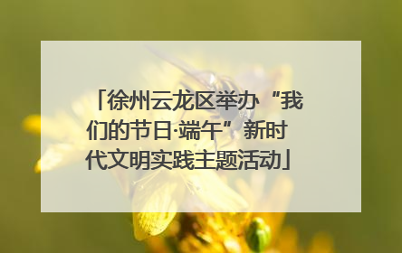徐州云龙区举办“我们的节日·端午”新时代文明实践主题活动