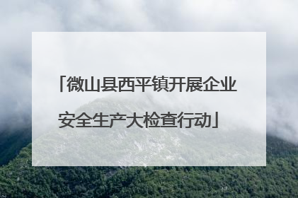 微山县西平镇开展企业安全生产大检查行动