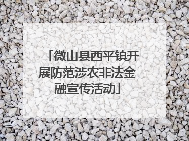 微山县西平镇开展防范涉农非法金融宣传活动