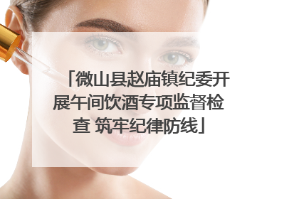 微山县赵庙镇纪委开展午间饮酒专项监督检查 筑牢纪律防线