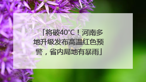 将破40℃！河南多地升级发布高温红色预警，省内局地有暴雨