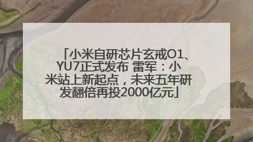 小米自研芯片玄戒O1、YU7正式发布 雷军：小米站上新起点，未来五年研发翻倍再投2000亿元