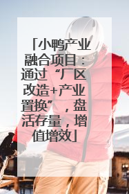 小鸭产业融合项目：通过“厂区改造+产业置换”，盘活存量，增值增效