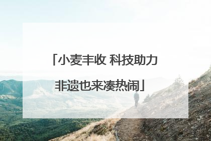 小麦丰收 科技助力 非遗也来凑热闹
