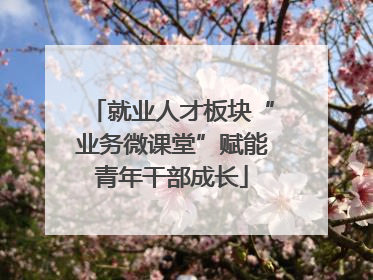 就业人才板块“业务微课堂”赋能青年干部成长