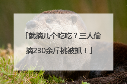 就摘几个吃吃？三人偷摘230余斤桃被抓！