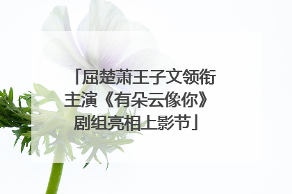 屈楚萧王子文领衔主演《有朵云像你》剧组亮相上影节