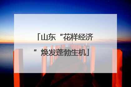 山东“花样经济”焕发蓬勃生机