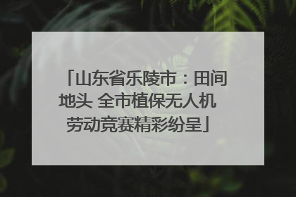 山东省乐陵市：田间地头 全市植保无人机劳动竞赛精彩纷呈